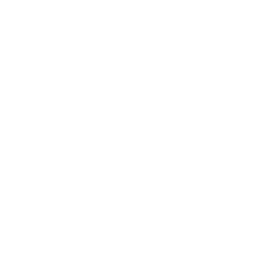 Requirement Analysis